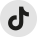 TikTok Icon
