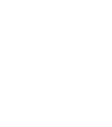 starting price